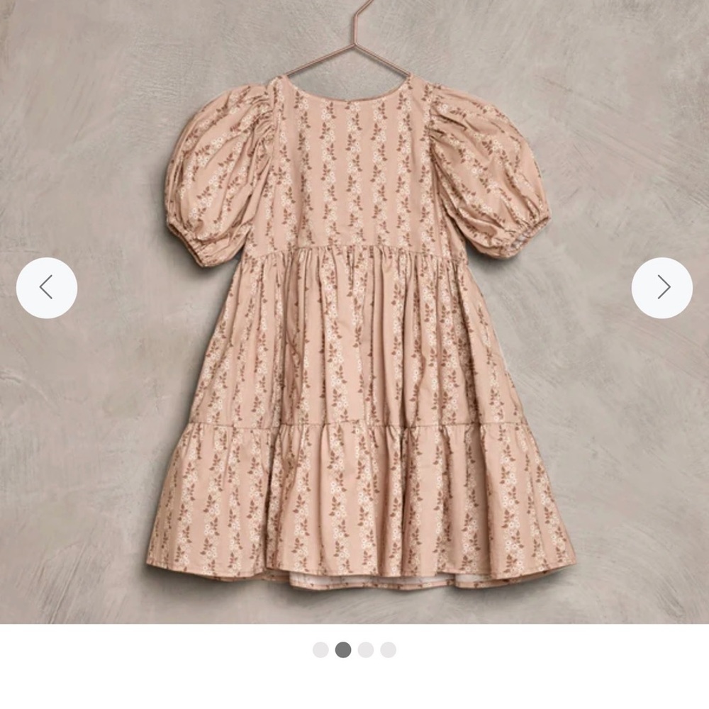 Noralee Chloe dress in Flyer